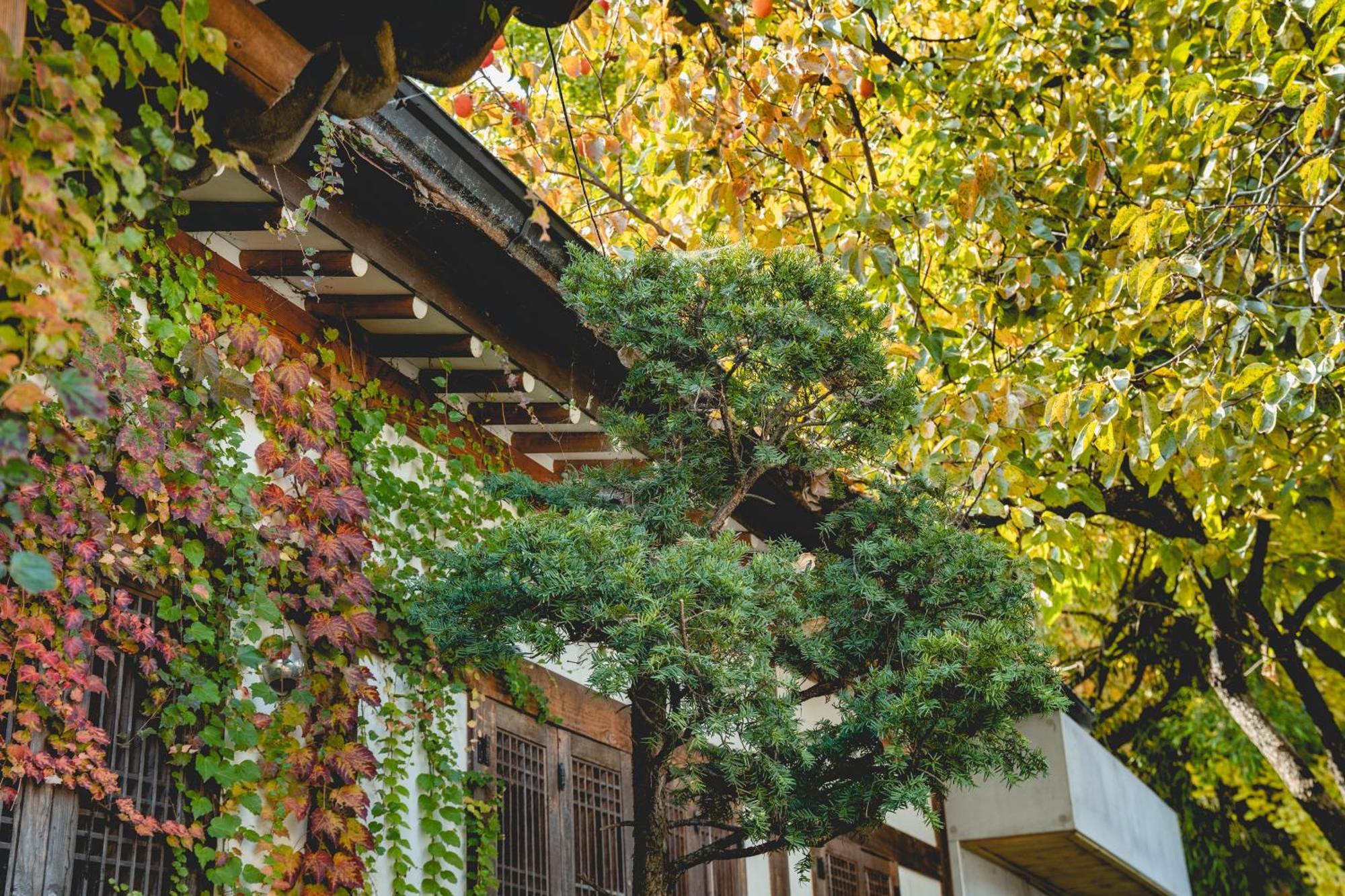Hotelarrive Jeonju Sihwayeonpung Екстериор снимка